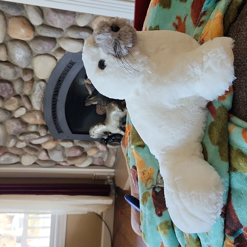 Pier One Winter Seal